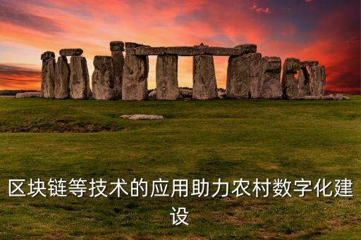 區(qū)塊鏈等技術(shù)的應(yīng)用助力農(nóng)村數(shù)字化建設(shè)