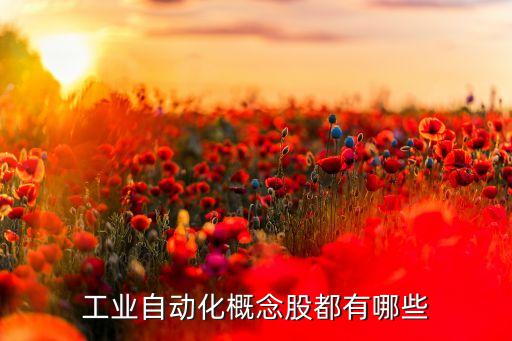 工業(yè)自動(dòng)化控制龍頭，機(jī)械自動(dòng)化的龍頭企業(yè)有哪些