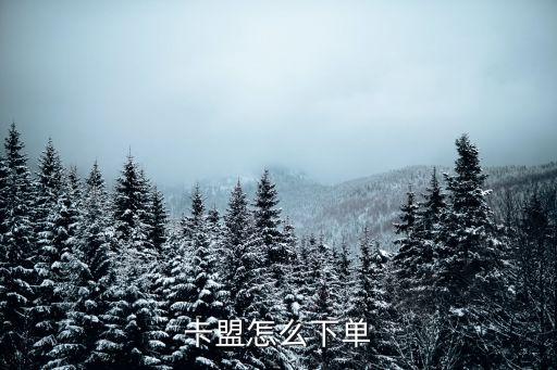 卡盟平臺(tái)自助下單老馬，卡盟哪個(gè)平臺(tái)好 卡盟真的能掙錢嗎 可以買東西嘛