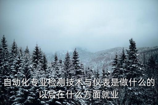 自動(dòng)化專業(yè)檢測(cè)技術(shù)與儀表是做什么的以后在什么方面就業(yè)