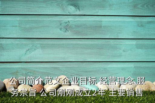 公司簡介范文企業(yè)目標 經營理念 服務宗旨 公司剛剛成立2年 主要銷售