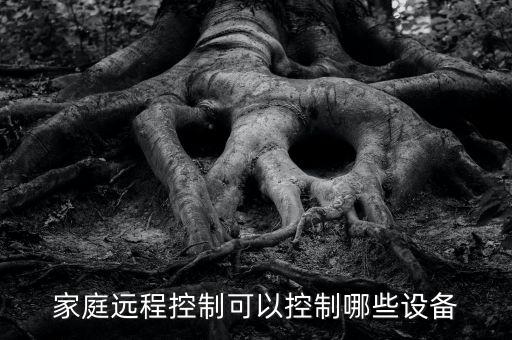 家庭遠(yuǎn)程控制可以控制哪些設(shè)備