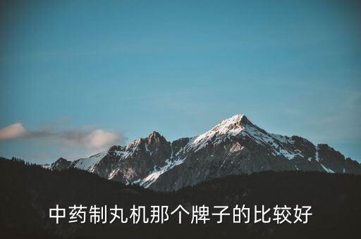 中藥制丸機那個牌子的比較好