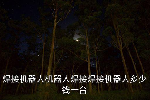 焊接機(jī)器人機(jī)器人焊接焊接機(jī)器人多少錢一臺(tái)