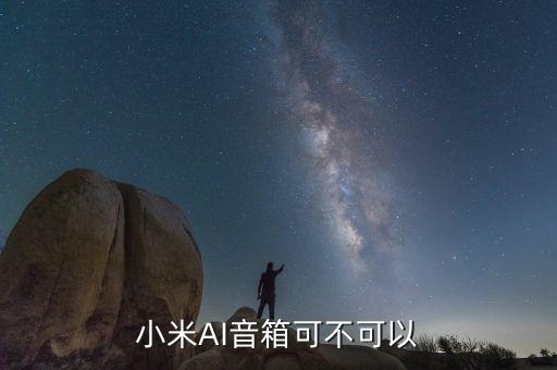 小米AI音箱可不可以