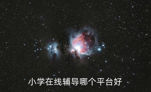 小學(xué)在線輔導(dǎo)哪個(gè)平臺(tái)好
