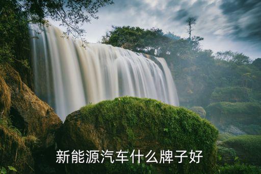 新能源汽車買哪個好，新能源汽車什么牌子好