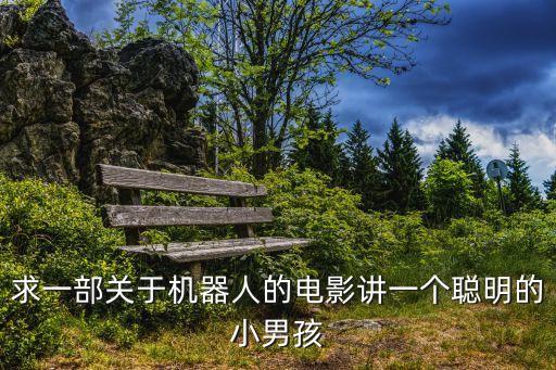 求一部關(guān)于機(jī)器人的電影講一個聰明的小男孩