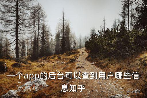 一個app的后臺可以查到用戶哪些信息知乎