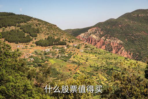 什么股票值得買