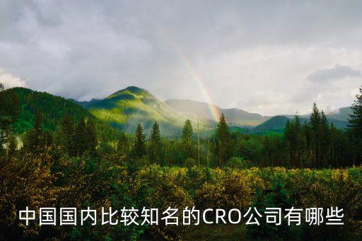 國(guó)內(nèi)比較有名的自動(dòng)駕駛公司，中國(guó)國(guó)內(nèi)比較知名的CRO公司有哪些
