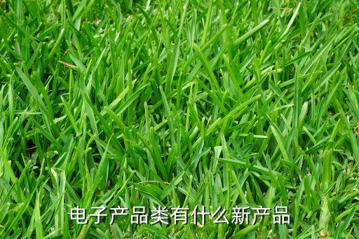 電子產(chǎn)品類有什么新產(chǎn)品