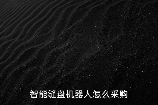 自動(dòng)縫紉機(jī)器人，日語(yǔ)翻譯
