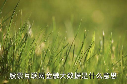 股票互聯(lián)網(wǎng)金融大數(shù)據(jù)是什么意思