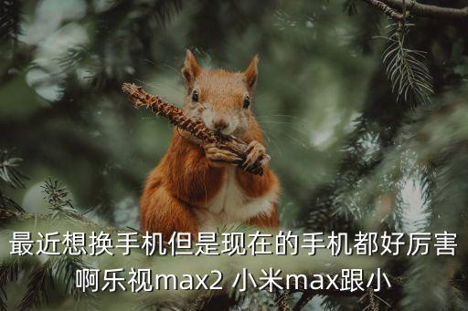 最近想換手機(jī)但是現(xiàn)在的手機(jī)都好厲害啊樂(lè)視max2 小米max跟小