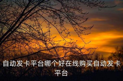 自動發(fā)卡平臺哪個好在線購買自動發(fā)卡平臺
