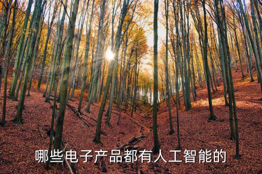 哪些電子產(chǎn)品都有人工智能的