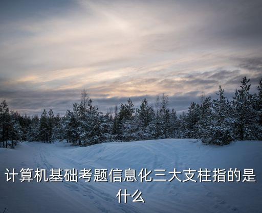 信息化支撐，信息技術(shù)的支撐技術(shù)是什么