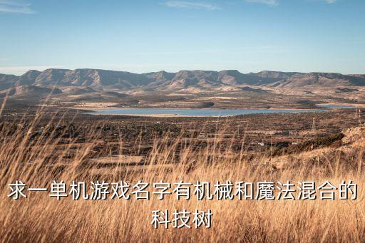 求一單機(jī)游戲名字有機(jī)械和魔法混合的科技樹