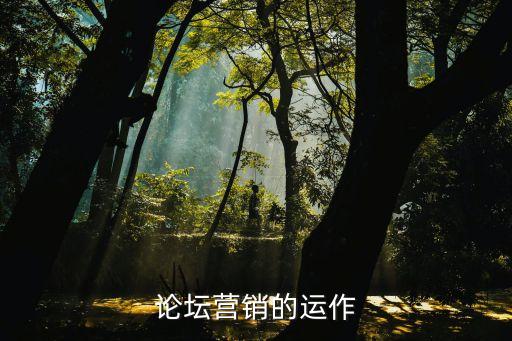 論壇營(yíng)銷(xiāo)的運(yùn)作