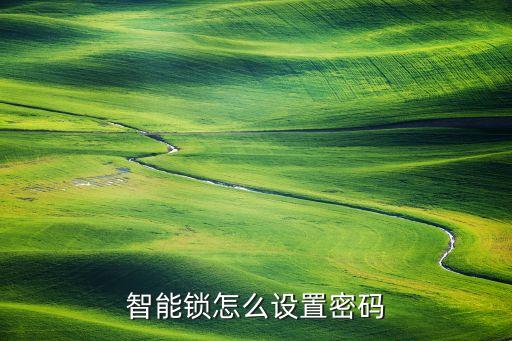 智能鎖怎么設置密碼