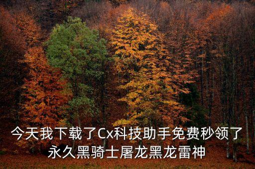今天我下載了Cx科技助手免費(fèi)秒領(lǐng)了永久黑騎士屠龍黑龍雷神