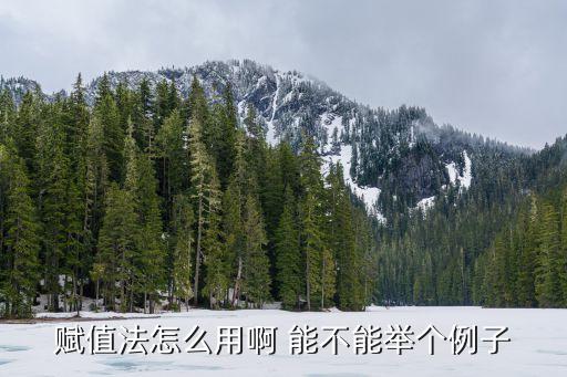 賦值法怎么用啊 能不能舉個例子