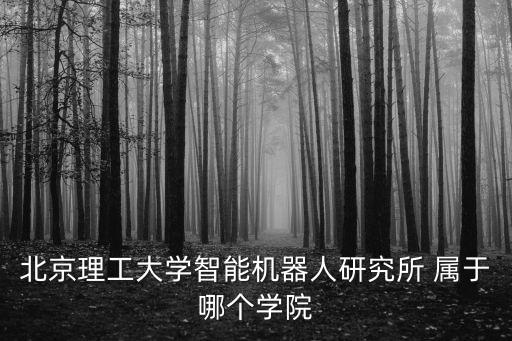 北京理工大學(xué)智能機(jī)器人研究所 屬于哪個(gè)學(xué)院