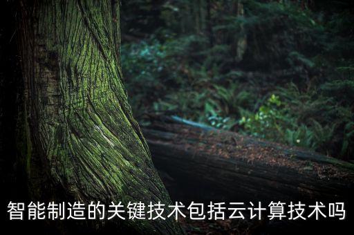 智能制造的關(guān)鍵技術(shù)包括云計算技術(shù)嗎