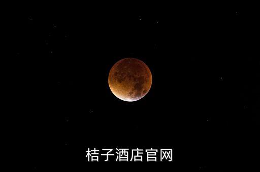 桔子酒店，桔子酒店的介紹