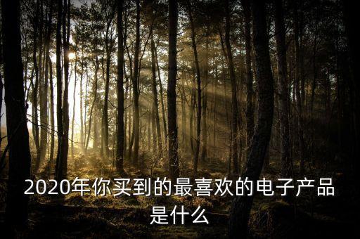 2020年你買到的最喜歡的電子產(chǎn)品是什么