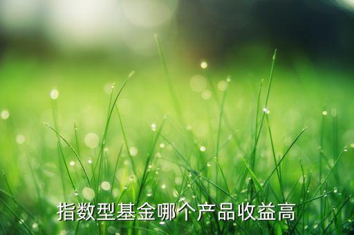 指數(shù)型基金哪個產(chǎn)品收益高