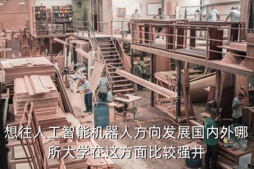想往人工智能機(jī)器人方向發(fā)展國內(nèi)外哪所大學(xué)在這方面比較強(qiáng)并