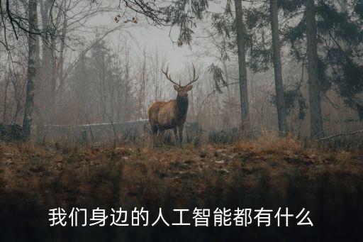 我們身邊的人工智能都有什么