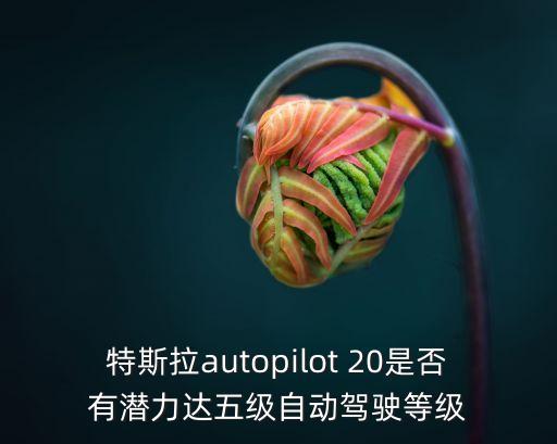 特斯拉autopilot 20是否有潛力達(dá)五級(jí)自動(dòng)駕駛等級(jí)