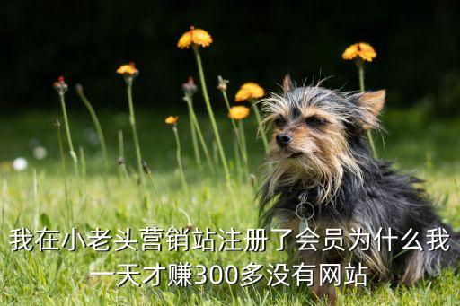 賺錢一天賺300到500平臺，我在小老頭營銷站注冊了會員為什么我一天才賺300多沒有網(wǎng)站