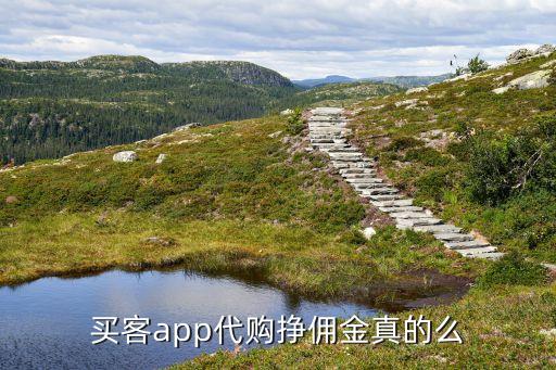 買客app代購掙傭金真的么