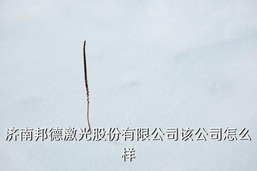 濟(jì)南邦德激光股份有限公司該公司怎么樣