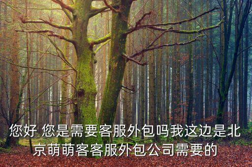 您好 您是需要客服外包嗎我這邊是北京萌萌客客服外包公司需要的