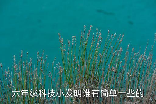 六年級科技小發(fā)明誰有簡單一些的