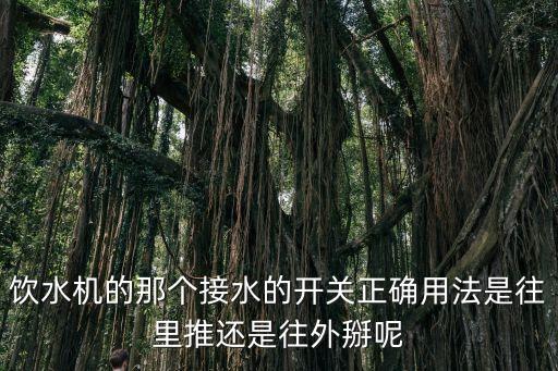 飲水機(jī)的那個(gè)接水的開關(guān)正確用法是往里推還是往外掰呢
