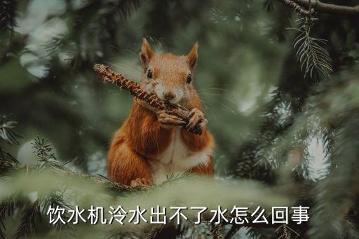 智能飲水機出不了水什么原因，飲水機里的水放不出來是怎么回事