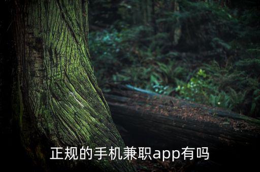 正規(guī)的手機(jī)兼職app有嗎