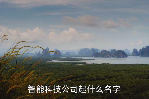 智能科技公司起什么名字