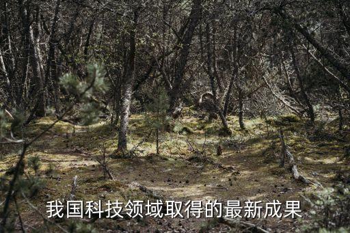 今年我國科學(xué)技術(shù)方面的重大突破，我國最新科技發(fā)展取得的成就