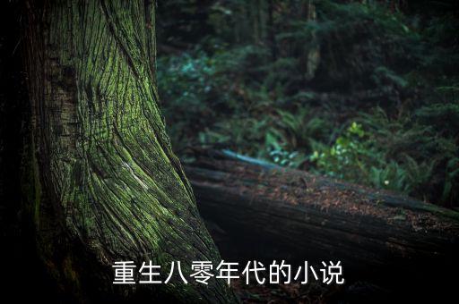重生八零年代的小說