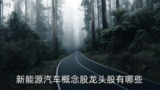 新能源汽車概念股龍頭股有哪些