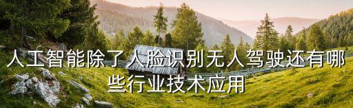 人工智能除了人臉識別無人駕駛還有哪些行業(yè)技術(shù)應(yīng)用