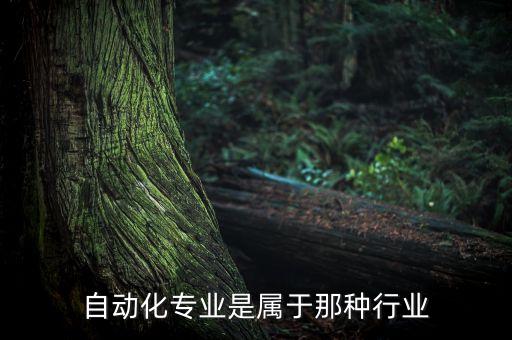 自動化專業(yè)是屬于那種行業(yè)