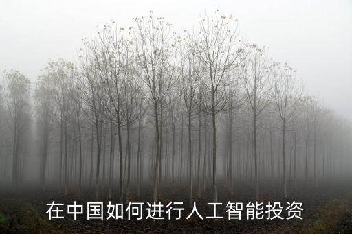 在中國如何進(jìn)行人工智能投資